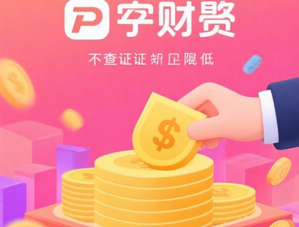 黑花口子征信问题根源揭秘：贷款人必懂的避坑指南